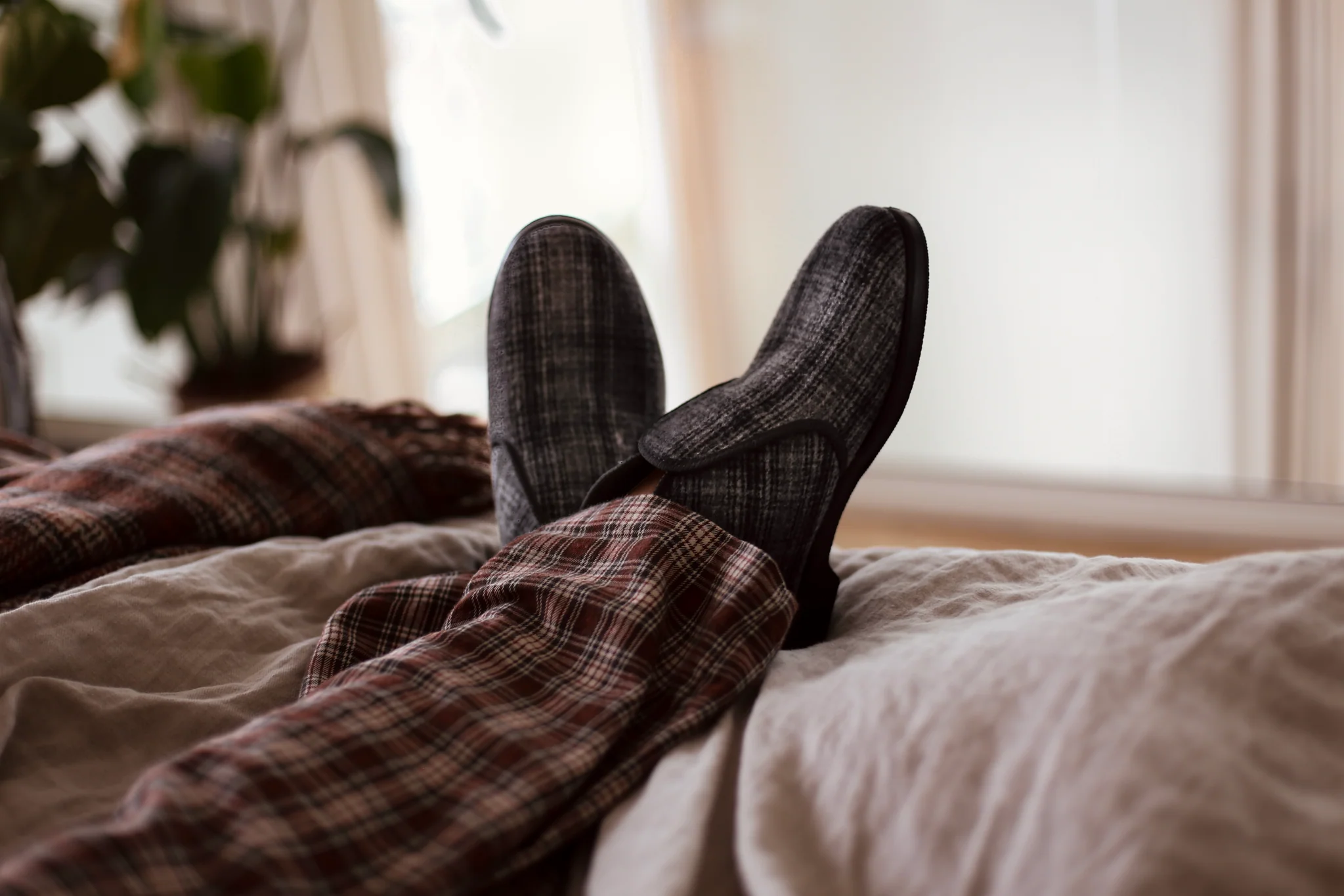 Pikkukuva 36
